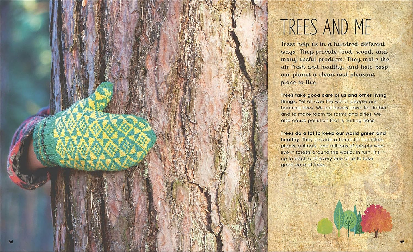 The Magic and Mystery of Trees
