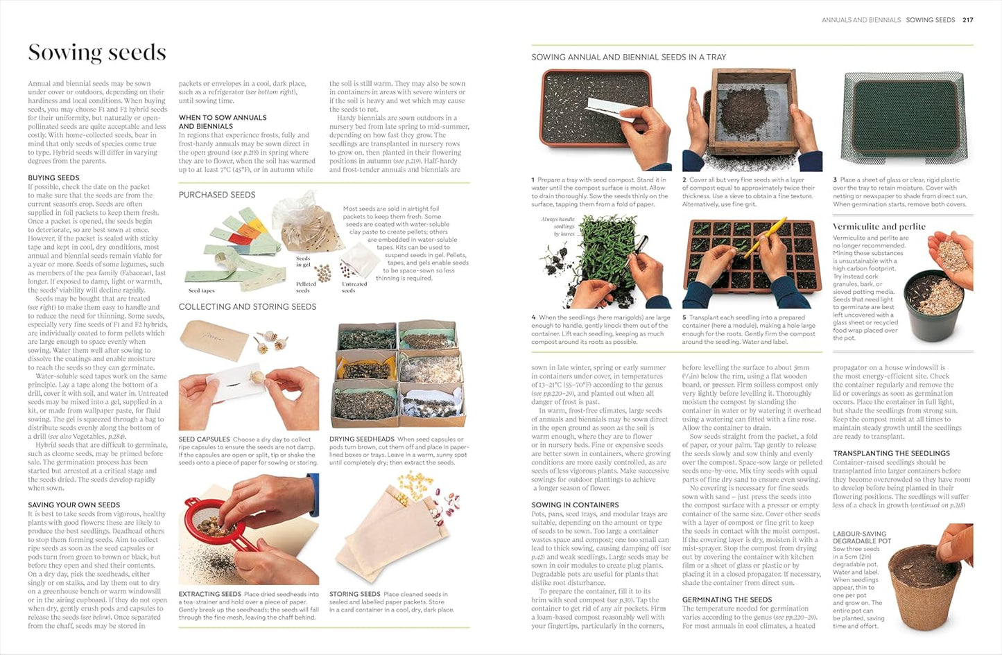 Propagating Plants: How to Grow Plants for Free: How to Grow Plants for Free
