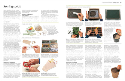 Propagating Plants: How to Grow Plants for Free: How to Grow Plants for Free