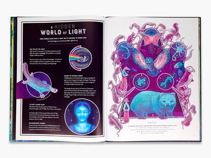 Glow: The Wild Wonders of Bioluminescence by Jennifer N R Smith