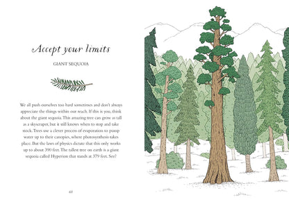 How to Be More Tree: Essential Life Lessons for Perennial Happiness