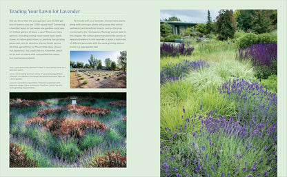 Lavender for All Seasons: A Gardener's Guide to Growing and Creating with Lavender Year-Round: A Gardener's Guide to Growing and Creating with Lavender Year-Round