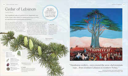 The Tree Book: The Stories, Science, and History of Trees: The Stories, Science, and History of Trees