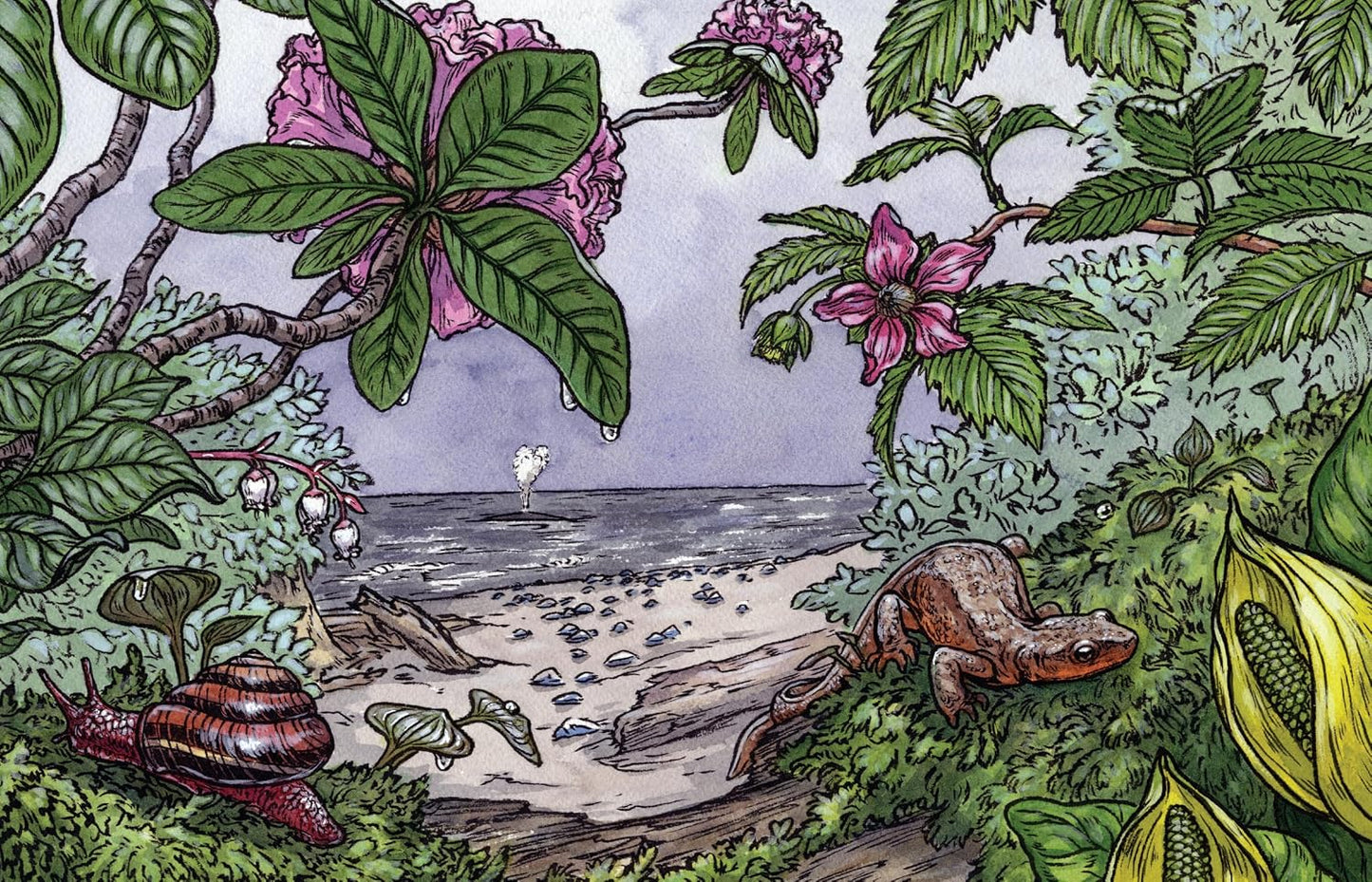 Cascade of Life: An Artist’s Seasonal Guide to the Wild Northwest
