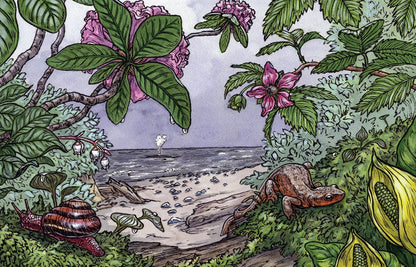 Cascade of Life: An Artist’s Seasonal Guide to the Wild Northwest