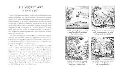 The Alchemist's Kitchen: Extraordinary Potions & Curious Notions by Guy Ogilvy