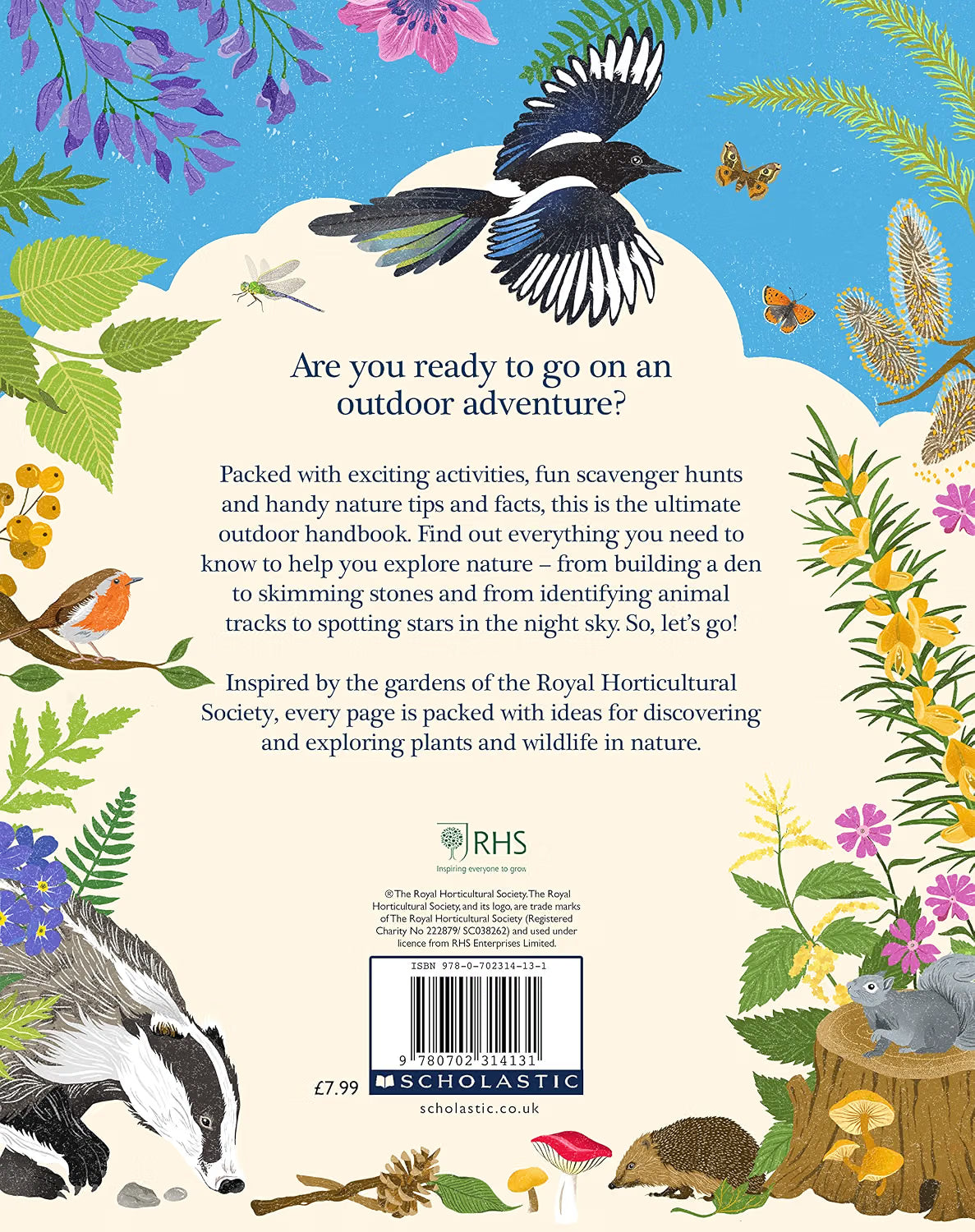 Sticks, Stars, Dens & Stones: Fun Days in the Great Outdoors (RHS) by Emil Fortune