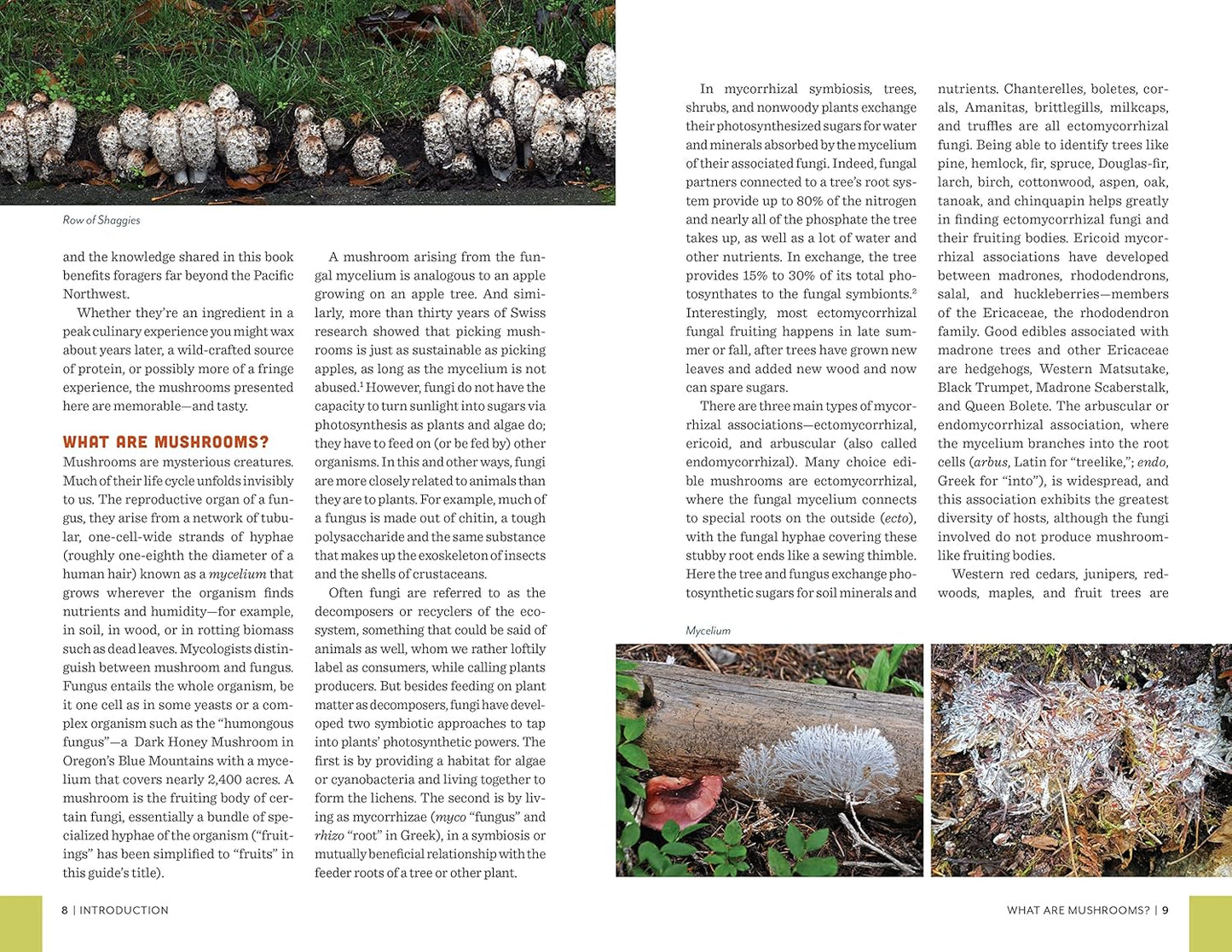 Fruits of the Forest: A Field Guide to Pacific Northwest Edible Mushrooms: A Field Guide to Pacific Northwest Edible Mushrooms