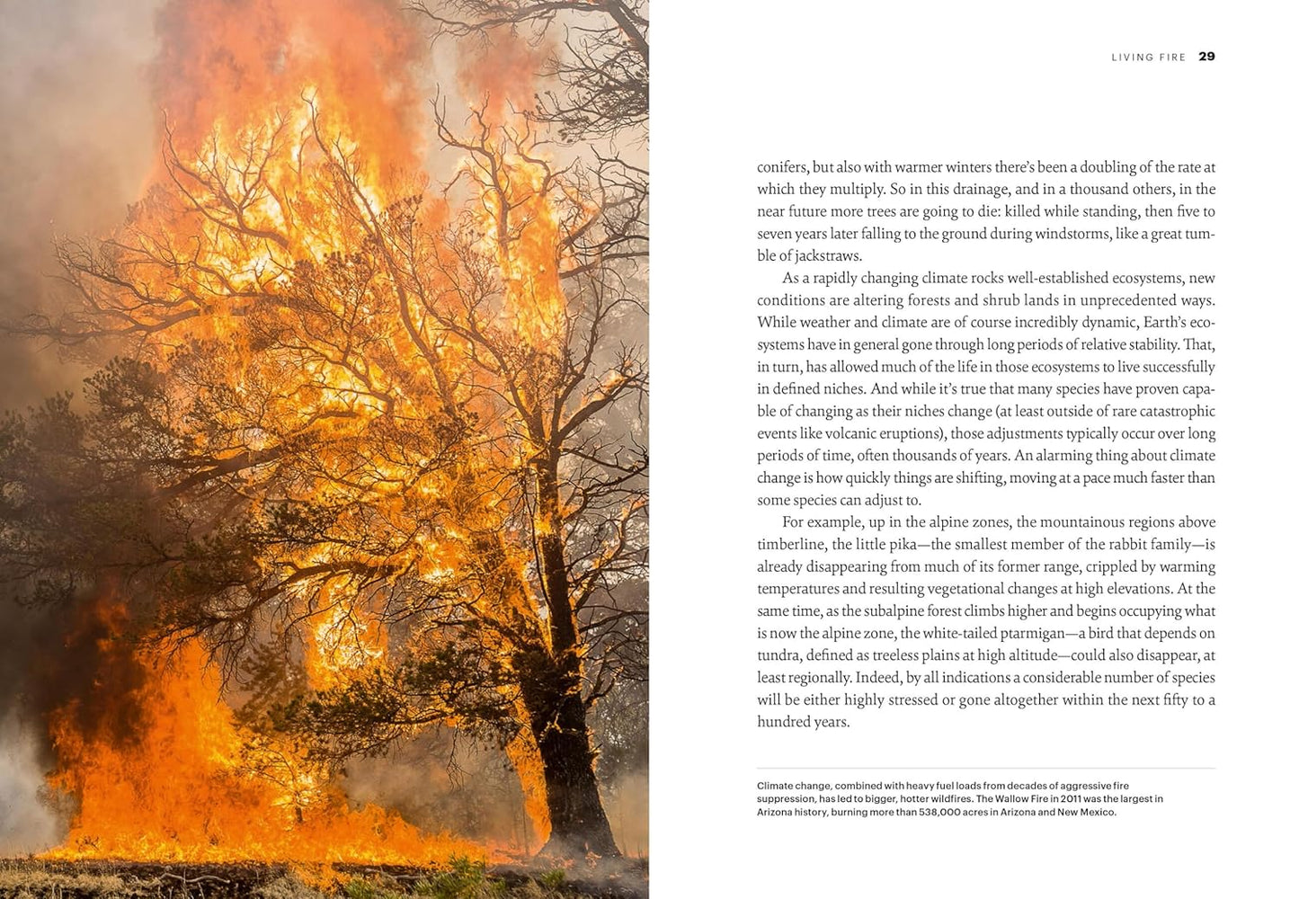 Land on Fire: The New Reality of Wildfire in the West by Gary Ferguson