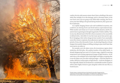 Land on Fire: The New Reality of Wildfire in the West by Gary Ferguson