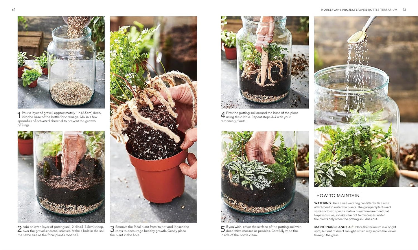 Houseplant: Practical Advice for All Houseplants, Cacti, and Succulents by Fran Bailey & Zia Allaway