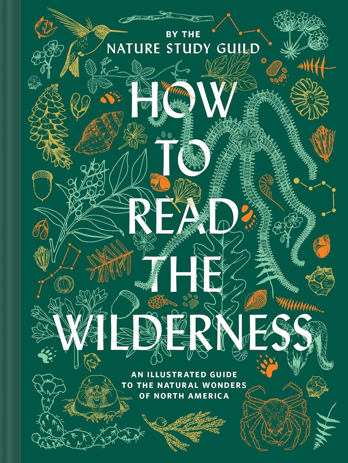 How to Read the Wilderness: An Illustrated Guide to the Natural Wonders of North America: An Illustrated Guide to the Natural Wonders of North America