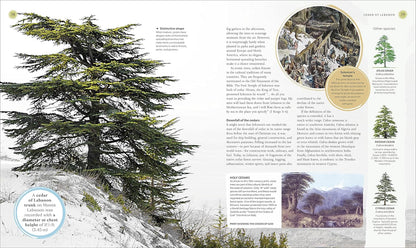 The Tree Book: The Stories, Science, and History of Trees: The Stories, Science, and History of Trees