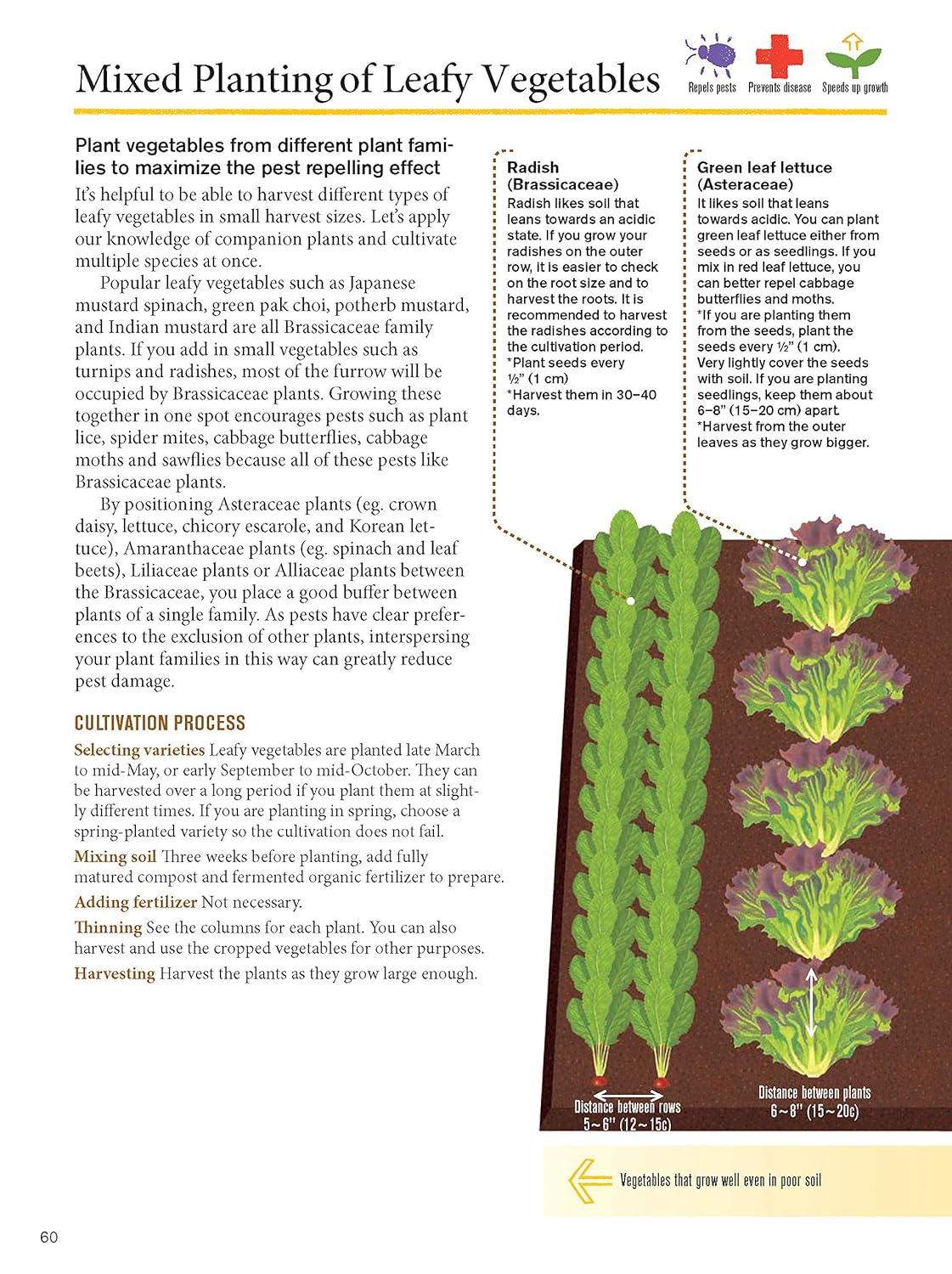 Japanese Style Companion Planting: Organic Gardening Techniques for Optimal Growth and Flavor: Organic Gardening Techniques for Optimal Growth and Flavor
