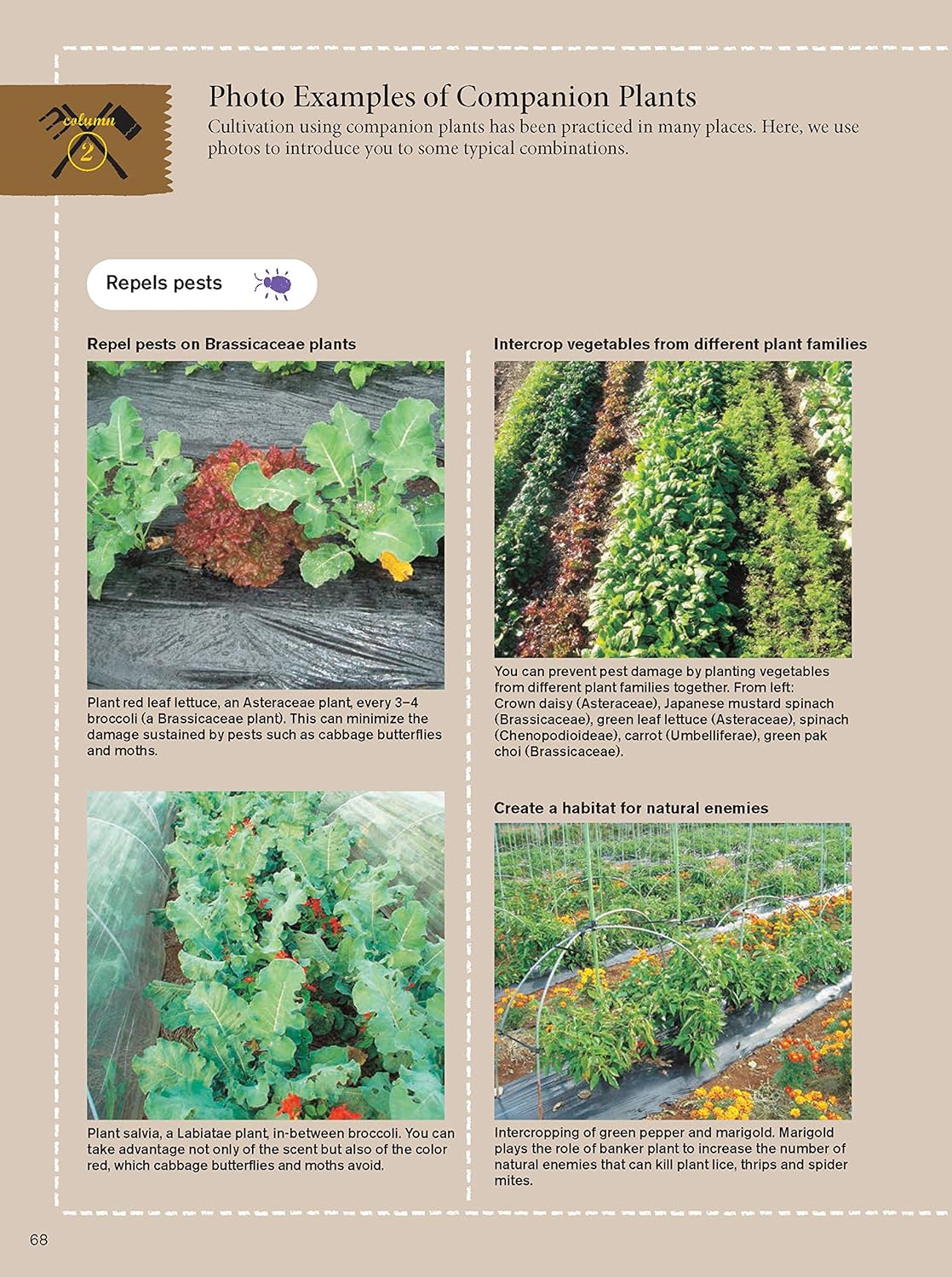 Japanese Style Companion Planting: Organic Gardening Techniques for Optimal Growth and Flavor: Organic Gardening Techniques for Optimal Growth and Flavor