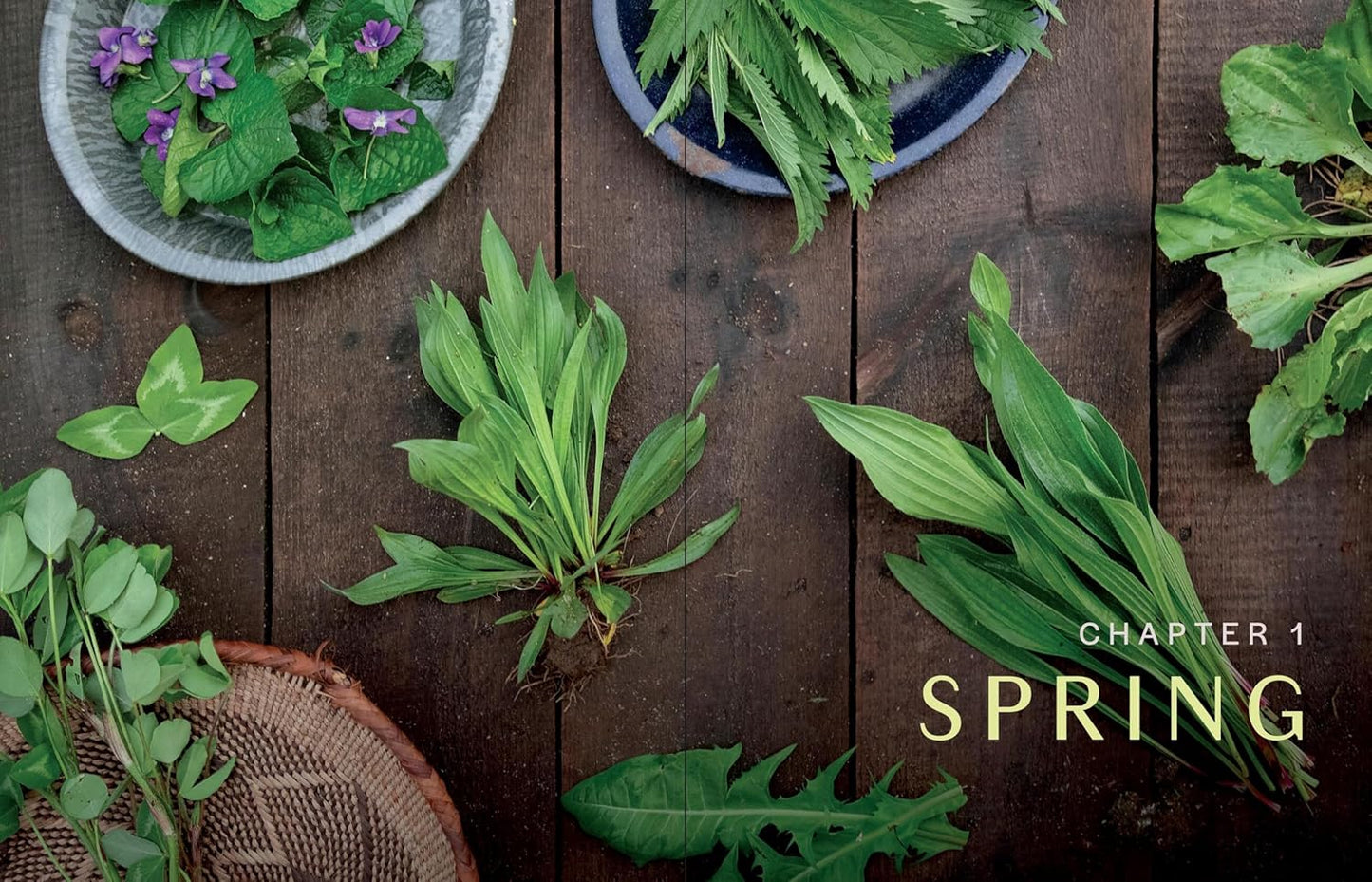 Herbs in Every Season: 48 Edible and Medicinal Herbs for the Kitchen, Garden, and Apothecary