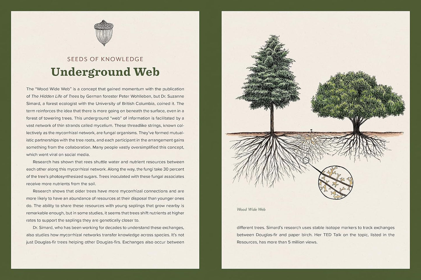 Knowing the Trees: Discover the Forest from Seed to Snag: Discover the Forest from Seed to Snag