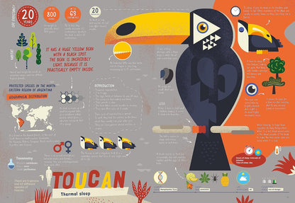 How Does an Octopus Sleep?: Discover the Ways Your Favourite Animals Sleep and What Makes Them Special