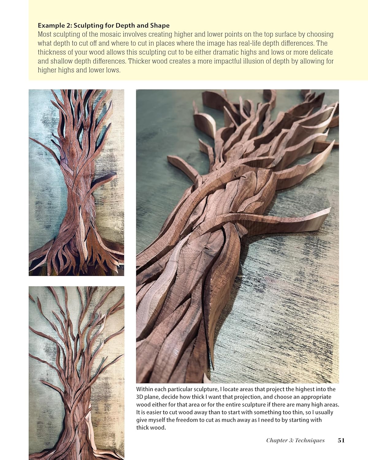 Making Magnificent Wood Art: Crafting Imaginative Works with Everyday Woodworking Tools: Crafting Imaginative Works with Everyday Woodworking Tools
