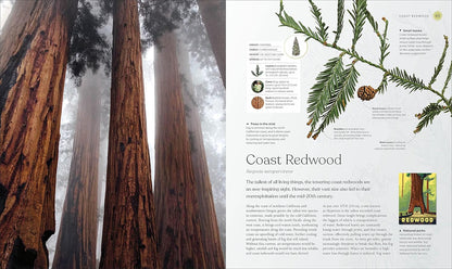 The Tree Book: The Stories, Science, and History of Trees: The Stories, Science, and History of Trees