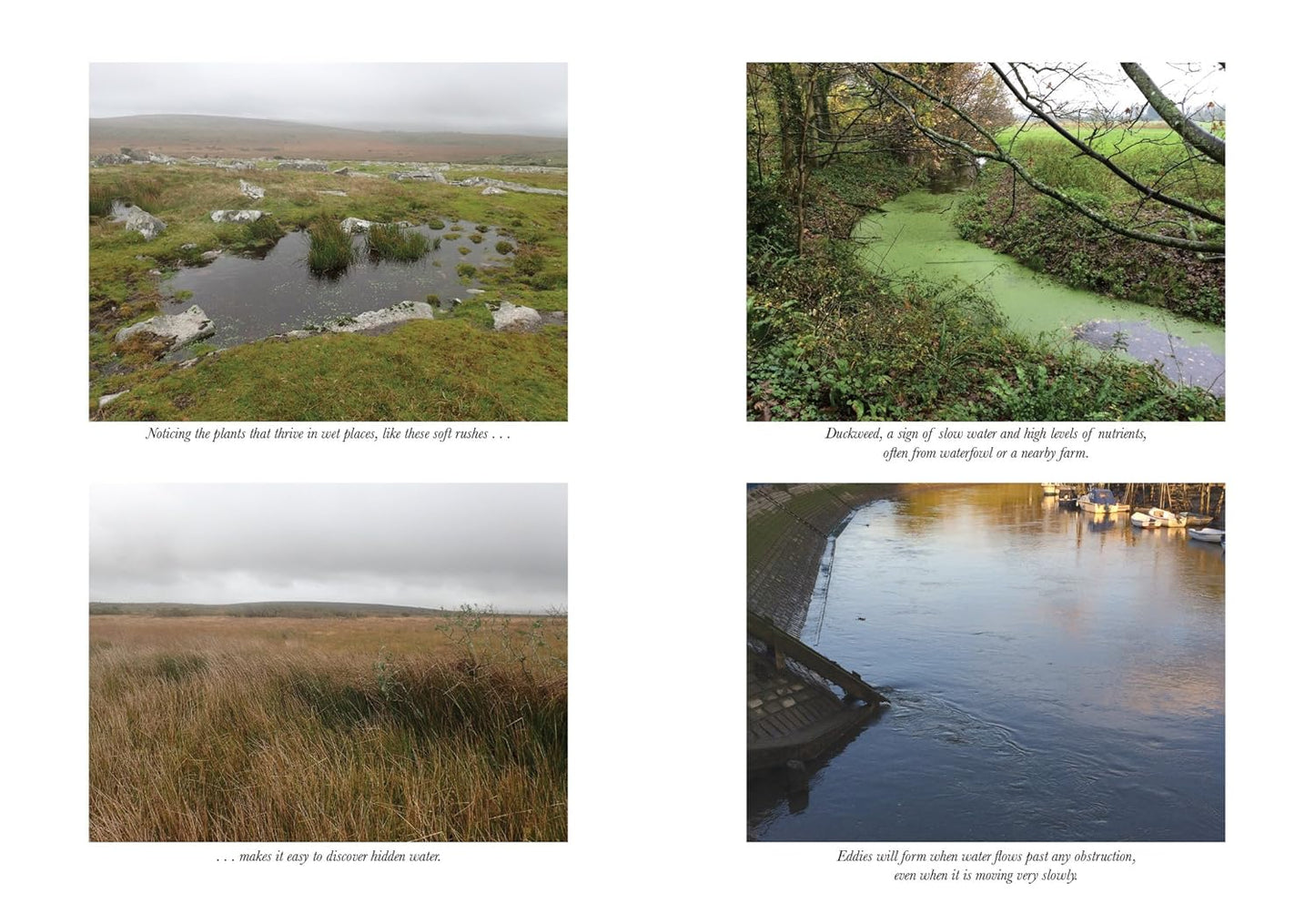 How to Read Water: Clues and Patterns from Puddles to the Sea by Tristan Gooley