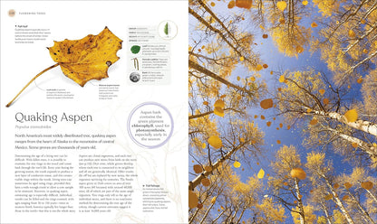 The Tree Book: The Stories, Science, and History of Trees: The Stories, Science, and History of Trees