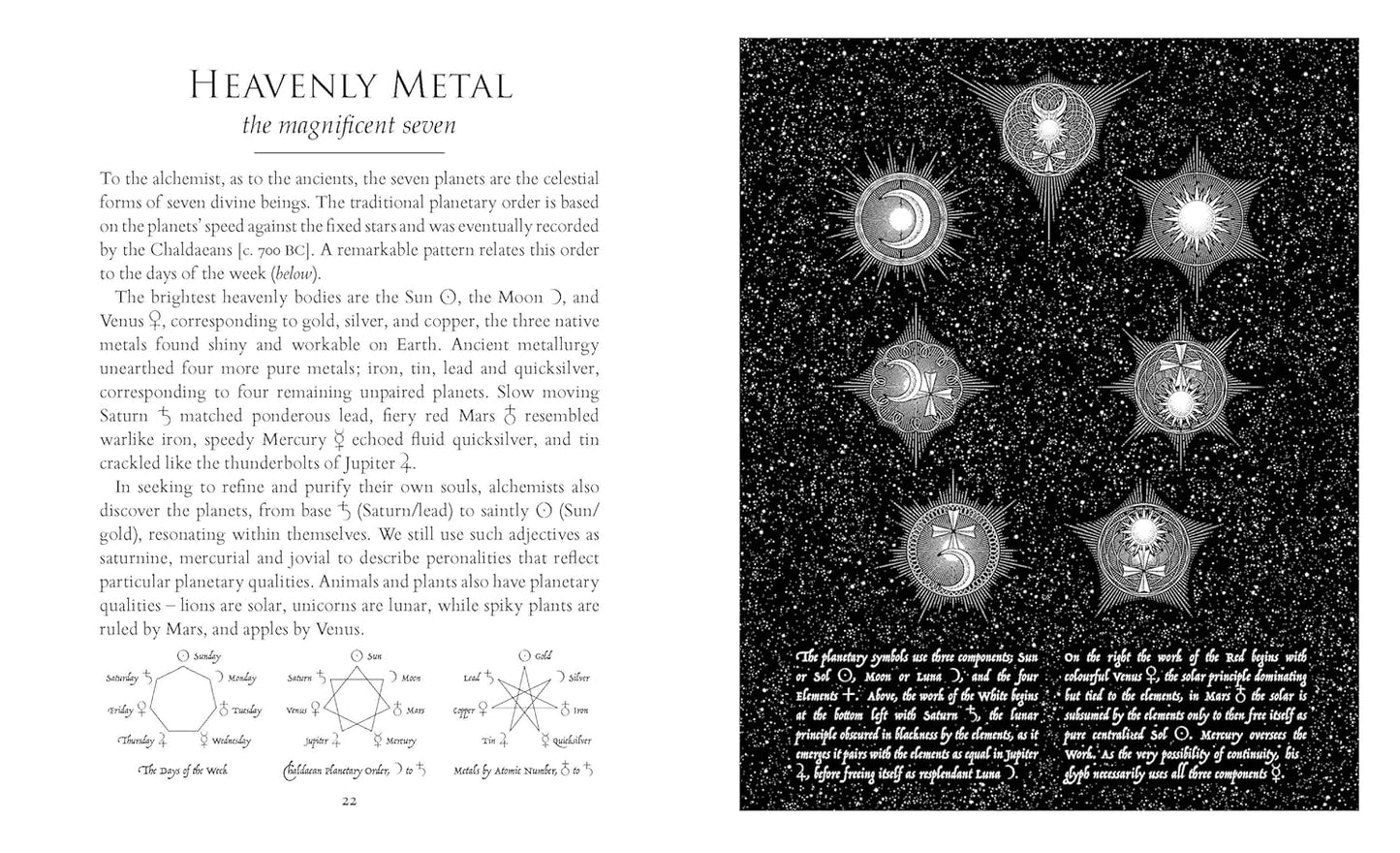 The Alchemist's Kitchen: Extraordinary Potions & Curious Notions by Guy Ogilvy
