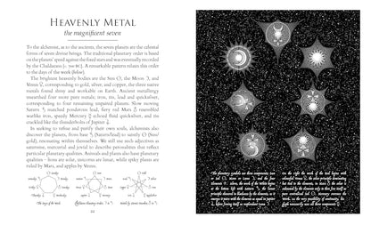 The Alchemist's Kitchen: Extraordinary Potions & Curious Notions by Guy Ogilvy