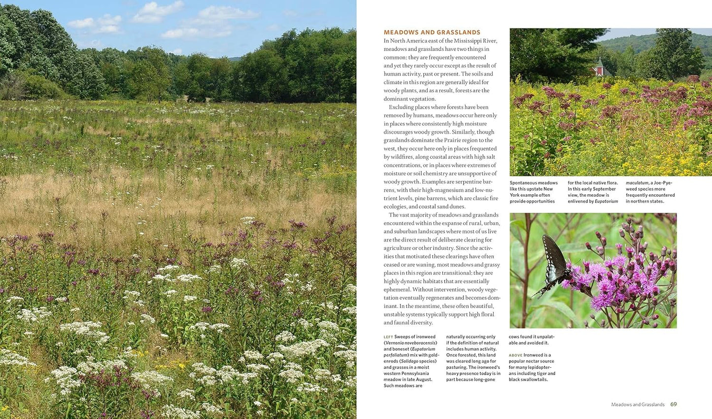 The Living Landscape: Designing for Beauty and Biodiversity in the Home Garden: Designing for Beauty and Biodiversity in the Home Garden