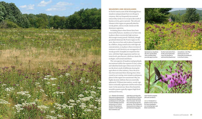 The Living Landscape: Designing for Beauty and Biodiversity in the Home Garden: Designing for Beauty and Biodiversity in the Home Garden
