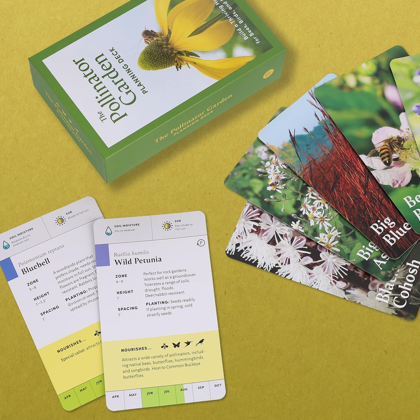 The Pollinator Garden Planning Deck: Build a Thriving Habitat for Bees, Birds, and Butterflies (109-Card Box Set) by Cathy, Jenny & Michael  Katz
