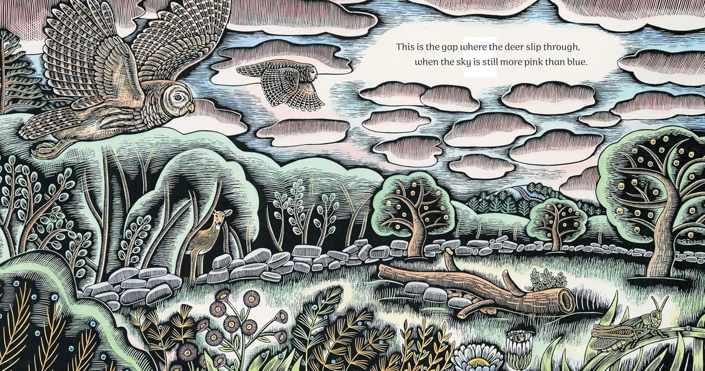 Where the Deer Slip Through by Katey Howes