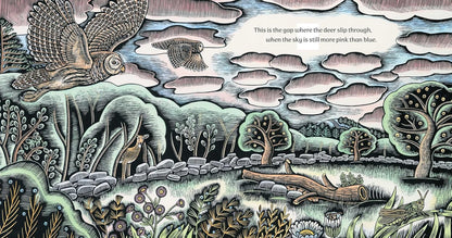 Where the Deer Slip Through by Katey Howes