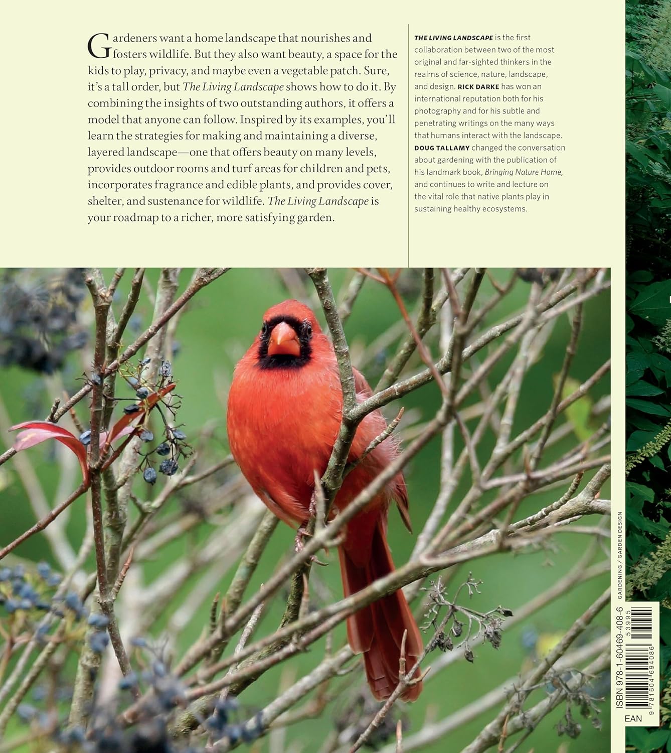 The Living Landscape: Designing for Beauty and Biodiversity in the Home Garden: Designing for Beauty and Biodiversity in the Home Garden