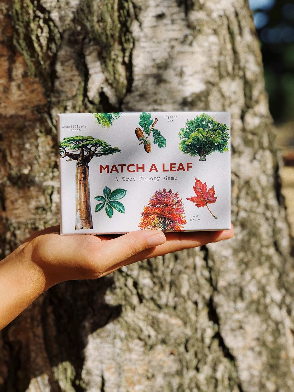 Match a Leaf: A Tree Memory Game by Tony Kirkham