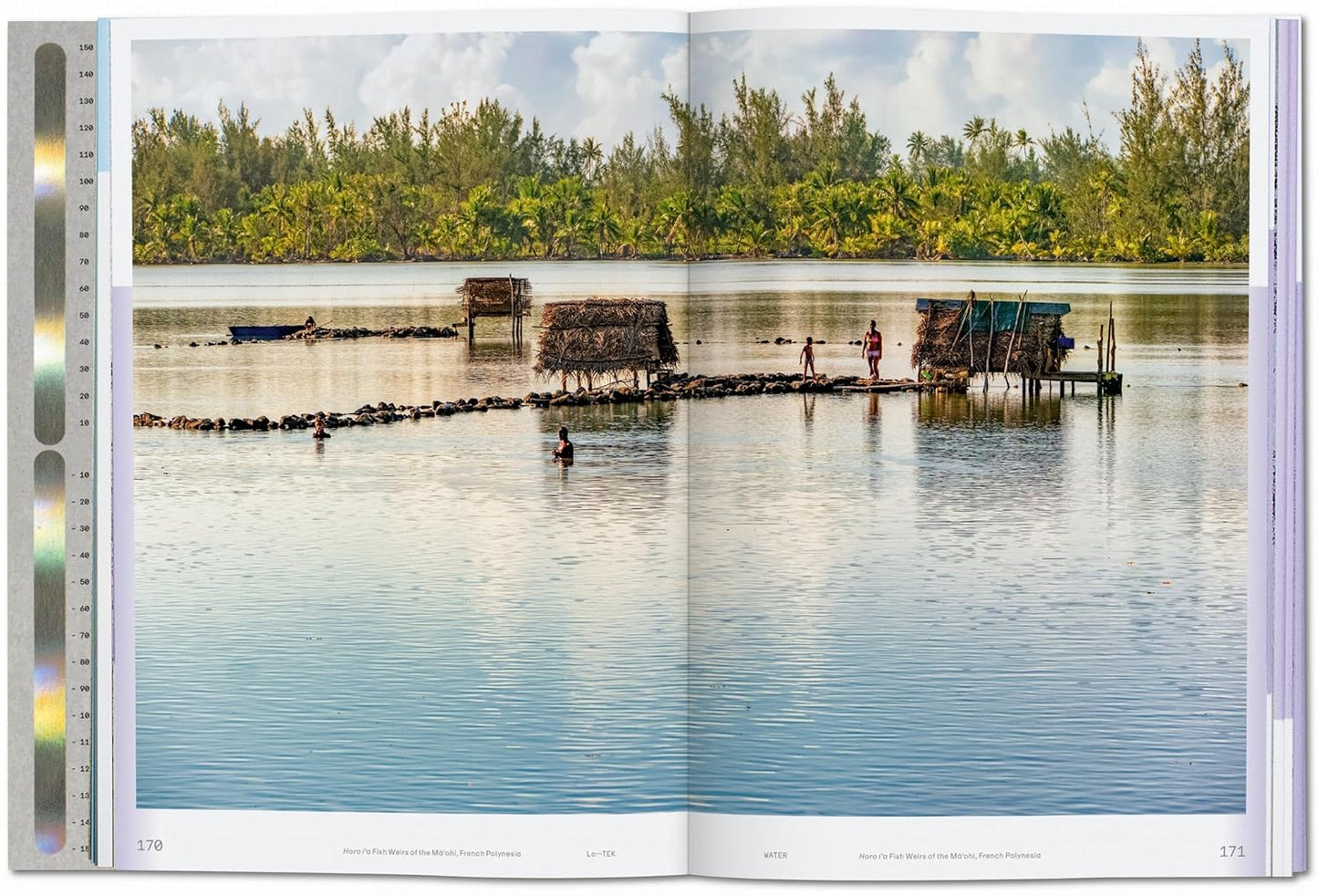 Lo--Tek Water: A Field Guide for TEKnology by Julia Watson