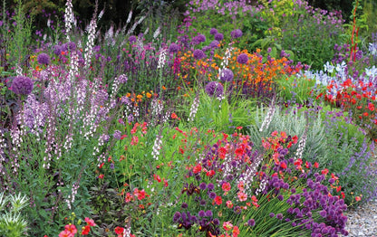 Grounded in the Garden: An Artist's Guide to Creating a Beautiful Garden in Harmony with Nature by Tj Maher