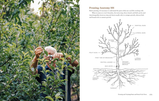 Fruit Trees for Every Garden: An Organic Approach to Growing Apples, Pears, Peaches, Plums, Citrus, and More: An Organic Approach to Growing Apples, Pears, Peaches, Plums, Citrus, and More