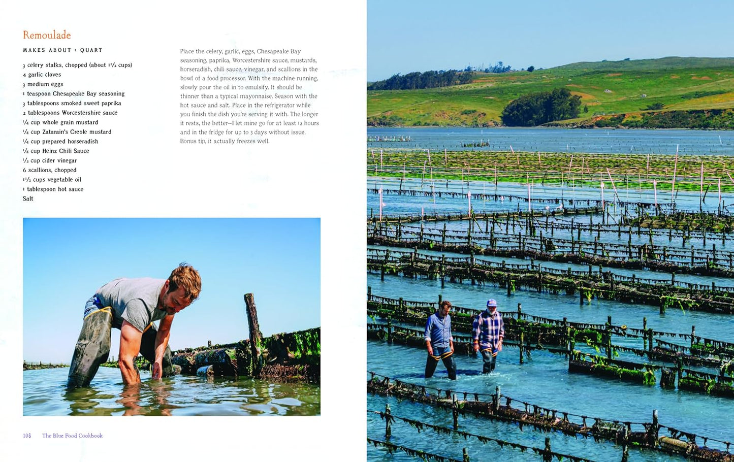 The Blue Food Cookbook: Delicious Seafood Recipes for a Sustainable Future