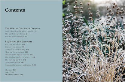 The Winter Garden: Celebrate the Forgotten Season: Celebrate the Forgotten Season
