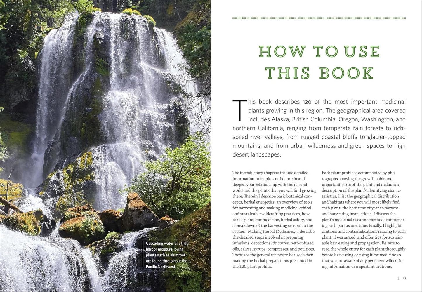 Pacific Northwest Medicinal Plants: Identify, Harvest, and Use 120 Wild Herbs for Health and Wellness by Scott Kloos