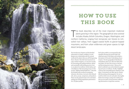 Pacific Northwest Medicinal Plants: Identify, Harvest, and Use 120 Wild Herbs for Health and Wellness by Scott Kloos