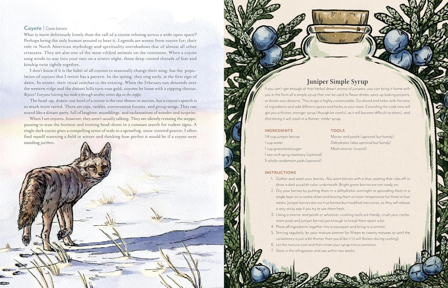 Cascade of Life: An Artist’s Seasonal Guide to the Wild Northwest