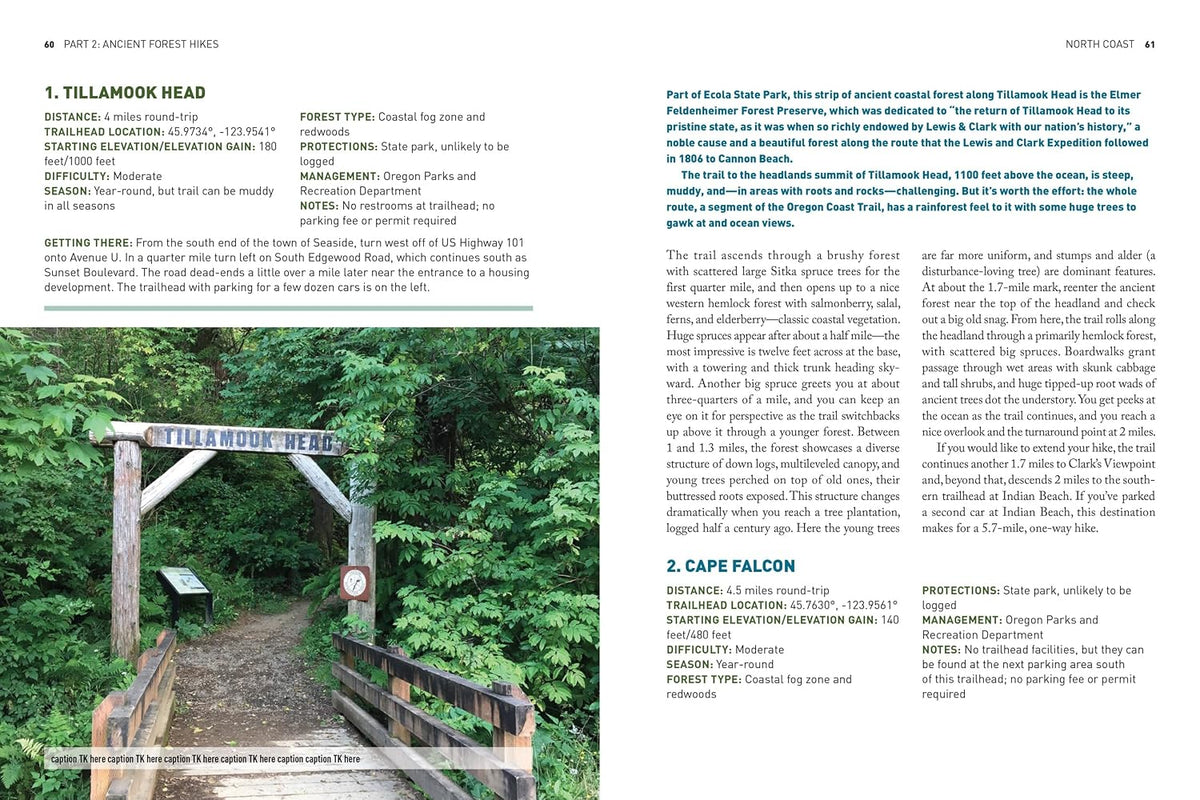 Oregon's Ancient Forests: A Hiking Guide