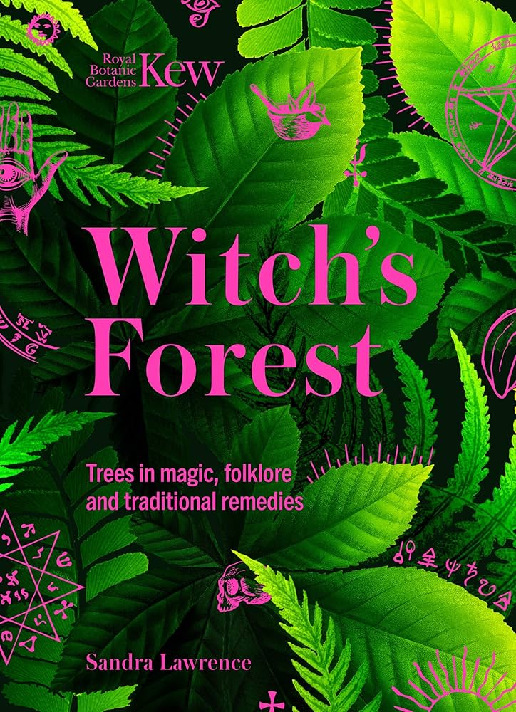 Witch's Forest: Trees in Magic, Folklore and Traditional Remedies: Trees in Magic, Folklore and Traditional Remedies