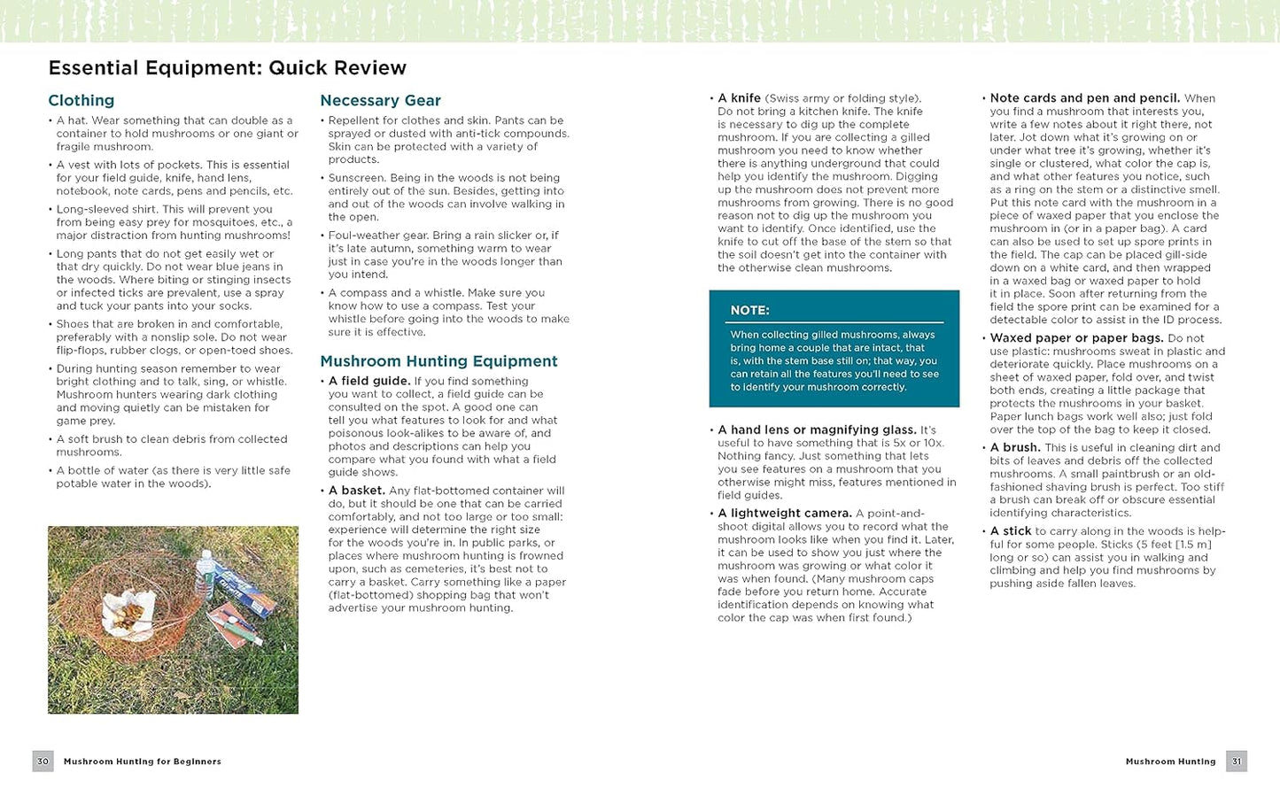 Mushroom Hunting for Beginners: A Starter's Guide to Identifying and Foraging Fungi: A Starter's Guide to Identifying and Foraging Fungi