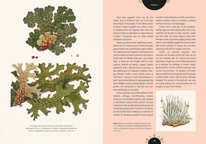 The Magic of Mushrooms: Fungi in Folklore, Superstition and Traditional Medicine: Fungi in Folklore, Superstition and Traditional Medicine