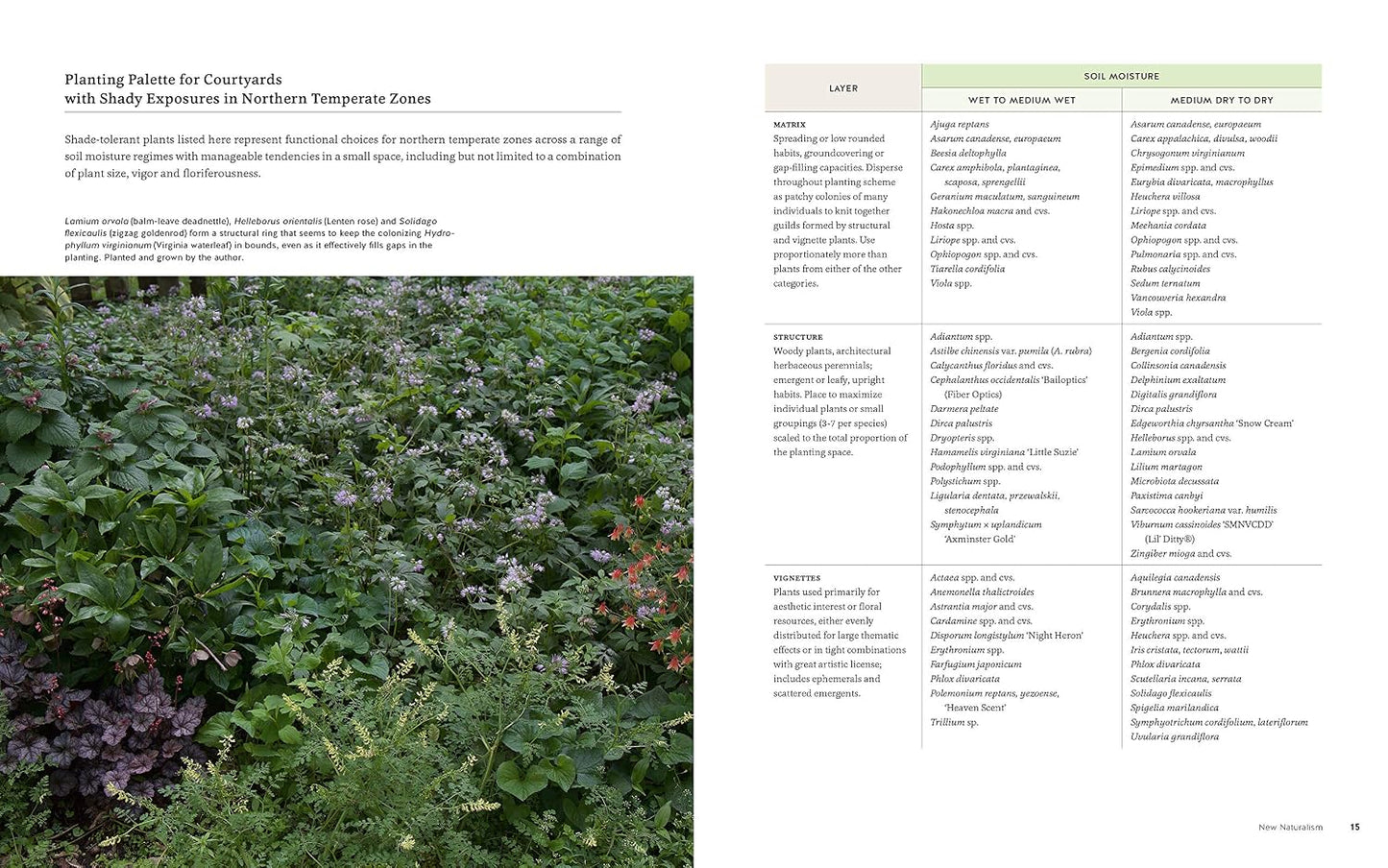 New Naturalism: Designing and Planting a Resilient, Ecologically Vibrant Home Garden