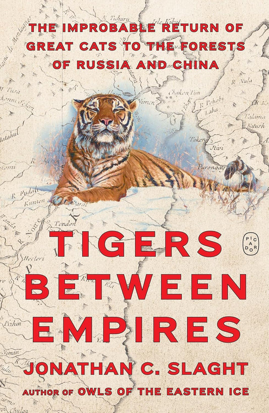 Tigers Between Empires: The Improbable Return of Great Cats to the Forests of Russia and China: The Improbable Return of Great Cats to the Forests of Russia and China