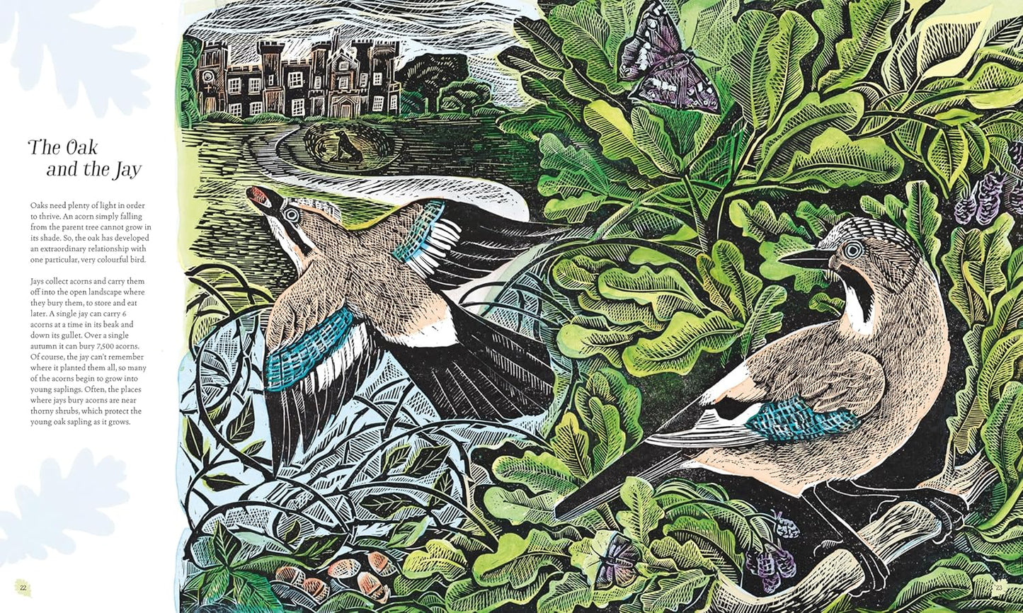 Wilding: How to Bring Wildlife Back - The New Illustrated Guide